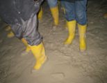img_7952.jpg