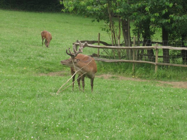 img_9226.jpg