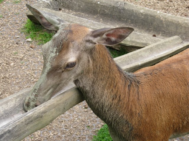 img_9232.jpg