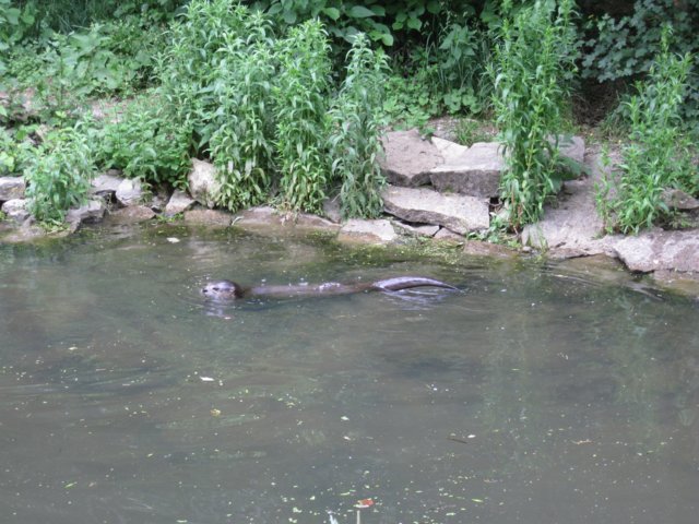 img_9245.jpg
