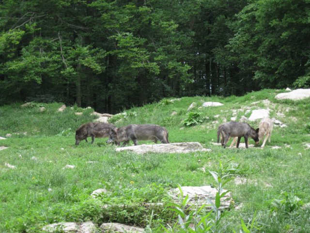 img_9300.jpg
