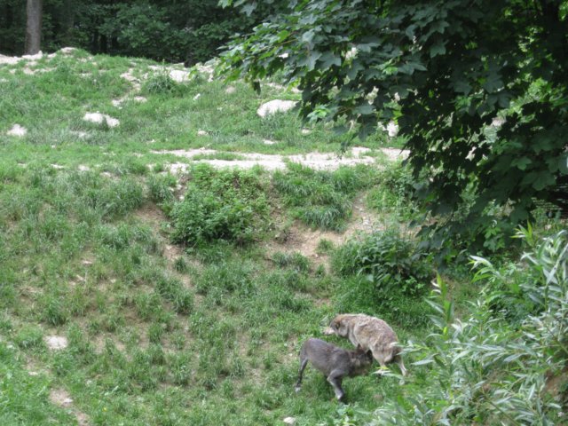 img_9304.jpg