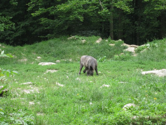 img_9311.jpg
