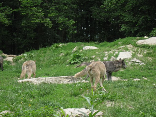 img_9313.jpg