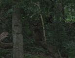 img_9220.jpg