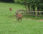 img_9226.jpg