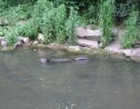 img_9245.jpg