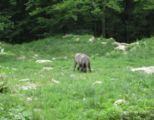 img_9311.jpg