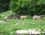 img_9314.jpg