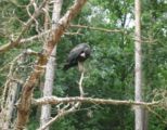 img_9372.jpg