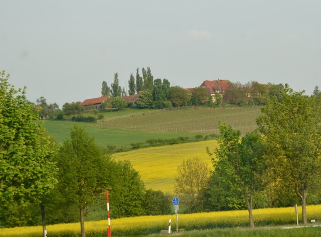 11-04-28.02.jpg