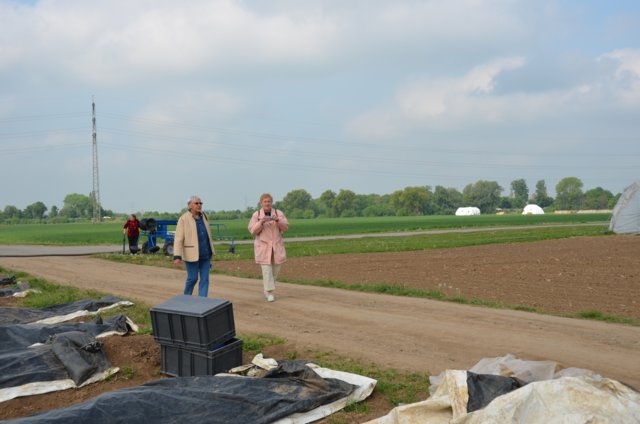dsc_3136.jpg