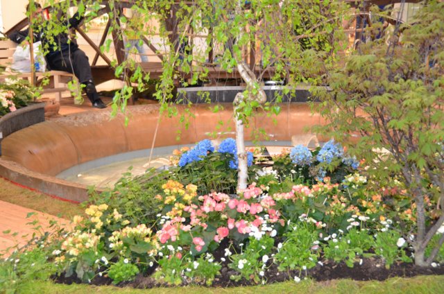 dsc_3269.jpg