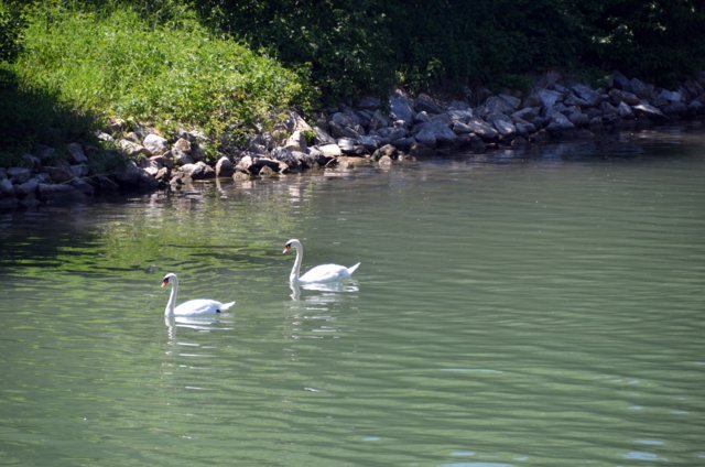dsc_5637.jpg