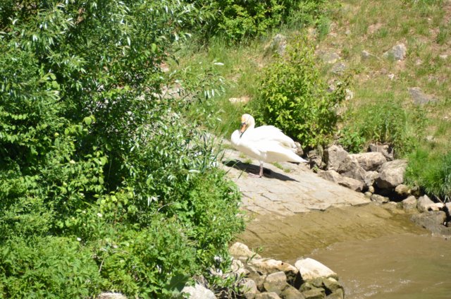 dsc_5655.jpg