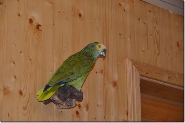 dsc_1716.jpg