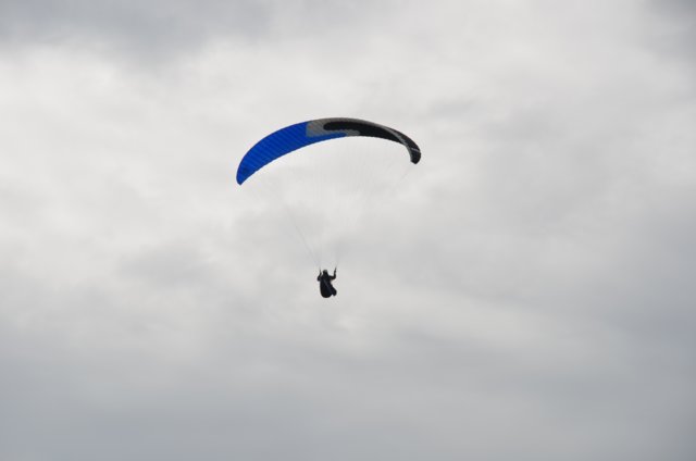 dsc_2020.jpg